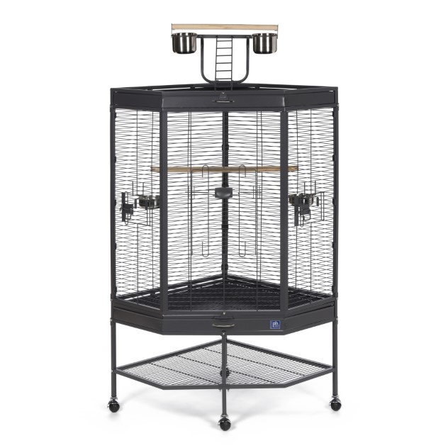 Corner Cage with Playtop