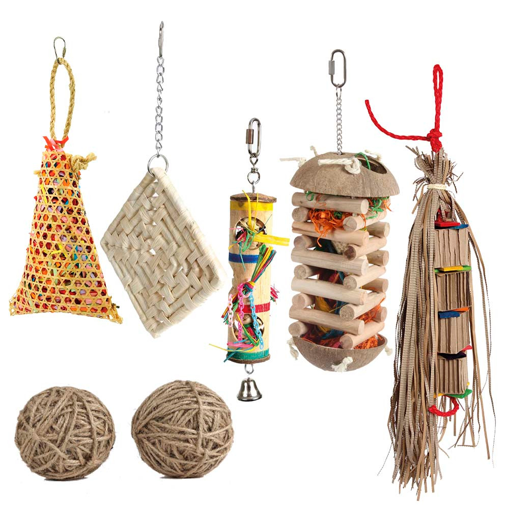Foraging Toy Bundle