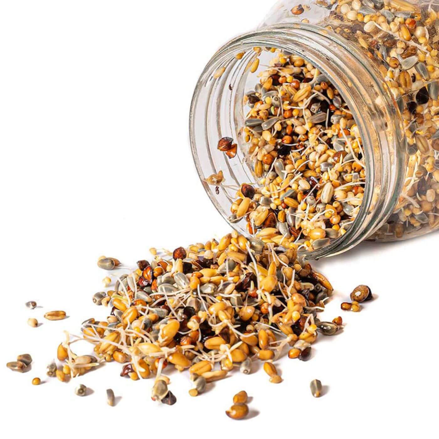 Sprouting Seed Mix